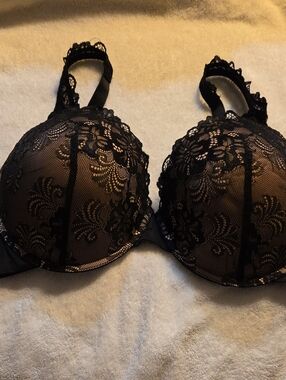 48 C Curve Muse Underwire Bra